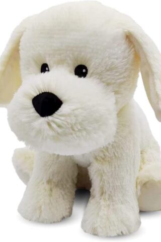 816018024675 Warmies Labrador