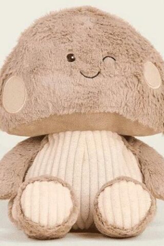 816018025337 Warmies Toadstool