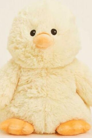 816018028055 Warmies Chick