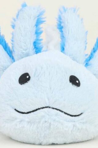 816018028178 Warmies Blue Axoloti