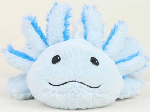816018028178 Warmies Blue Axoloti