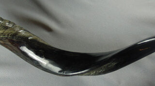845246000045 Yemenite Medium Shofar