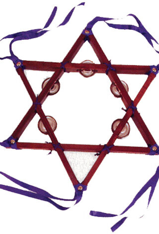 845246002216 Rosewood Star Tamborine