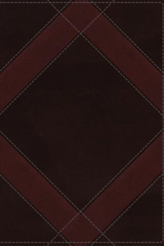 9780310080428 Unapologetic Study Bible