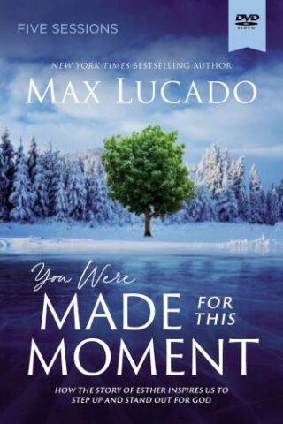 9780310136279 You Were Made For This Moment Video Study (DVD)