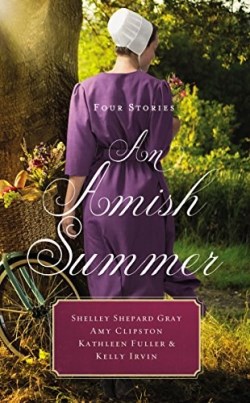9780310354420 Amish Summer