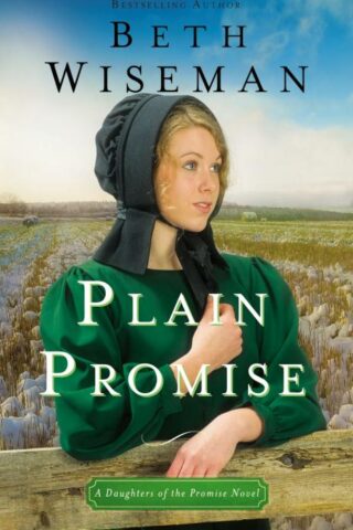 9780310360032 Plain Promise