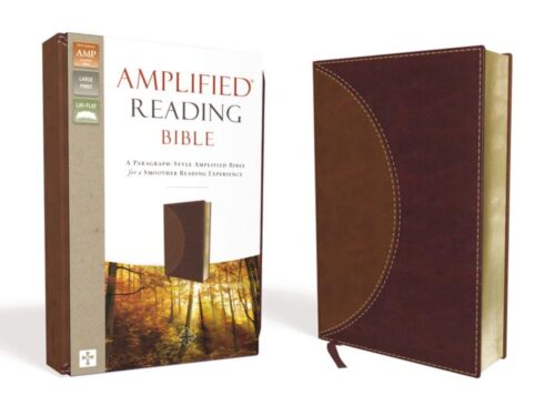 9780310450221 Amplified Reading Bible