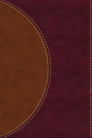 9780310450238 Amplified Reading Bible
