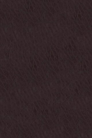 9780310452874 Life Application Study Bible Third Edition Large Print