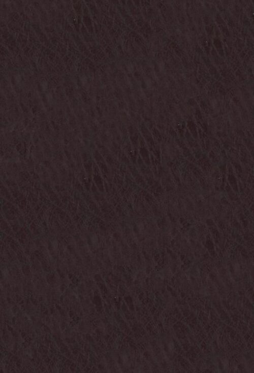 9780310452874 Life Application Study Bible Third Edition Large Print