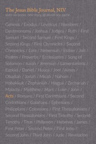 9780310456155 Jesus Bible Acts Journal Paperback Comfort Print