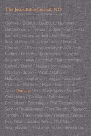 9780310456162 Jesus Bible Romans Journal Comfort Print