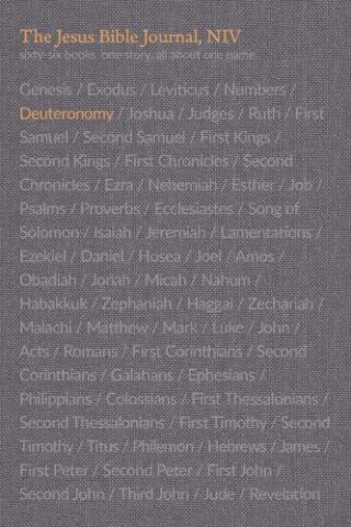 9780310456223 Jesus Bible Deuteronomy Journal Comfort Print