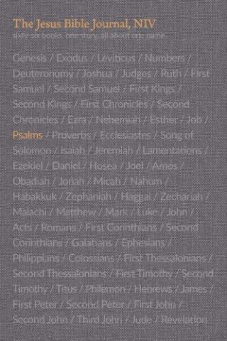 9780310456230 Jesus Bible Psalms Journal Comfort Print