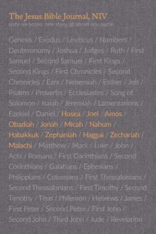 9780310456254 Jesus Bible Hosea-Malachi Journal Comfort Print