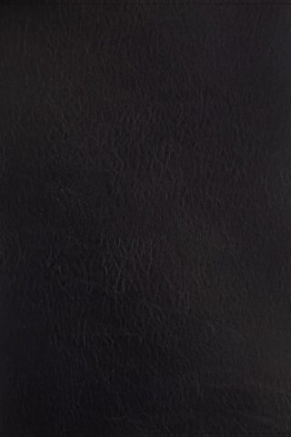 9780310461999 Thompson Chain Reference Bible