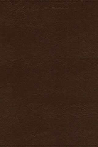 9780310462019 Thompson Chain Reference Bible