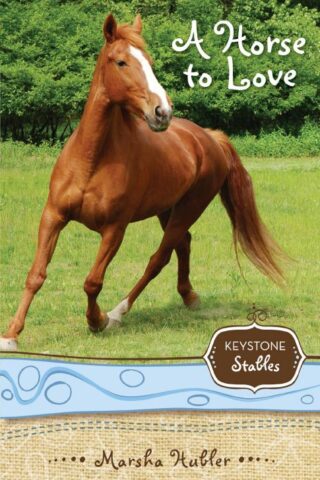 9780310717928 Horse To Love