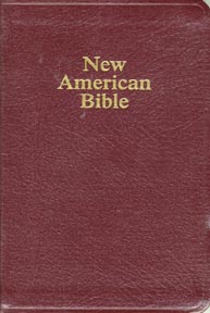 9780529061416 Deluxe Gift And Award Bible