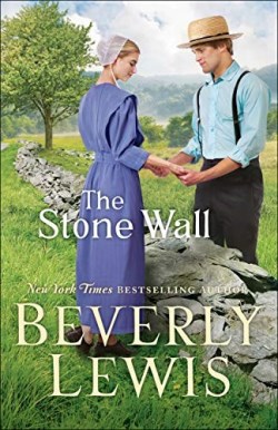 9780764233289 Stone Wall (Large Type)