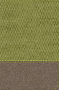9780801093777 Study Bible For Boys
