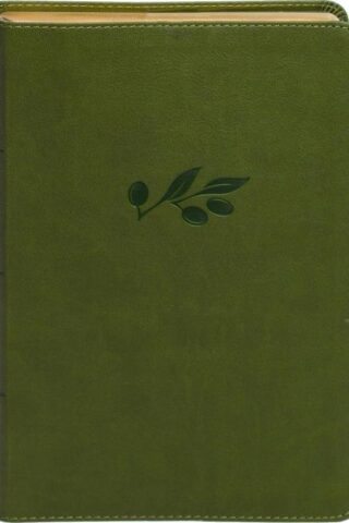 9798384525349 Personal Size Giant Print Bible