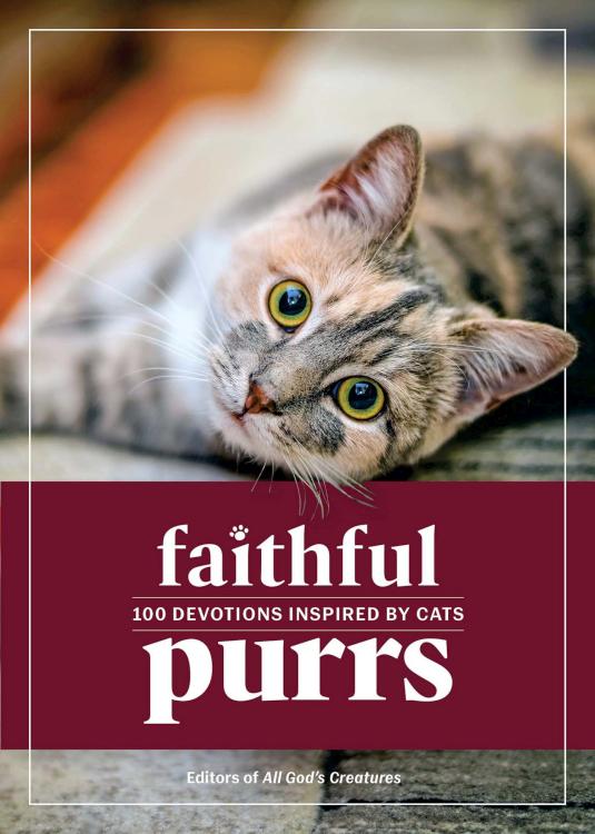 9781961442566 Faithful Purrs : 100 Devotions Inspired By Cats