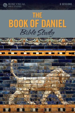 9798400504969 Book Of Daniel Bible Study