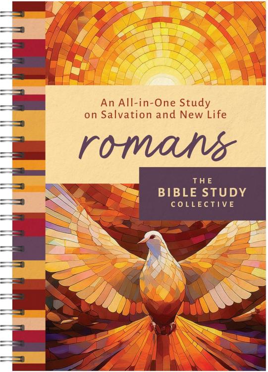 9798891511699 Romans : An All-in-One Study On Salvation And New Life