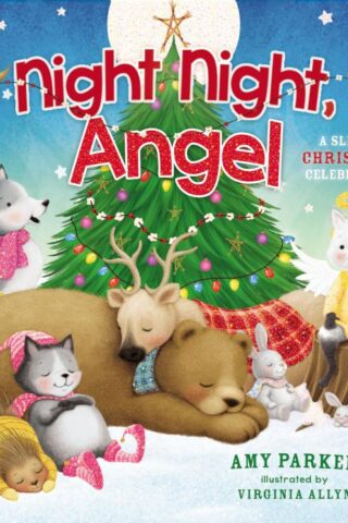 9781400212835 Night Night Angel