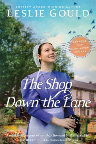 9780764244223 Shop Down The Lane