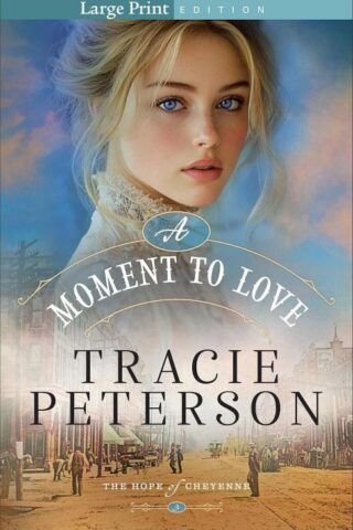 9780764245718 Moment To Love (Large Type)