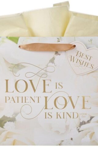 1220000325500 Large Landscape Inspirational Scripture Gift Bag