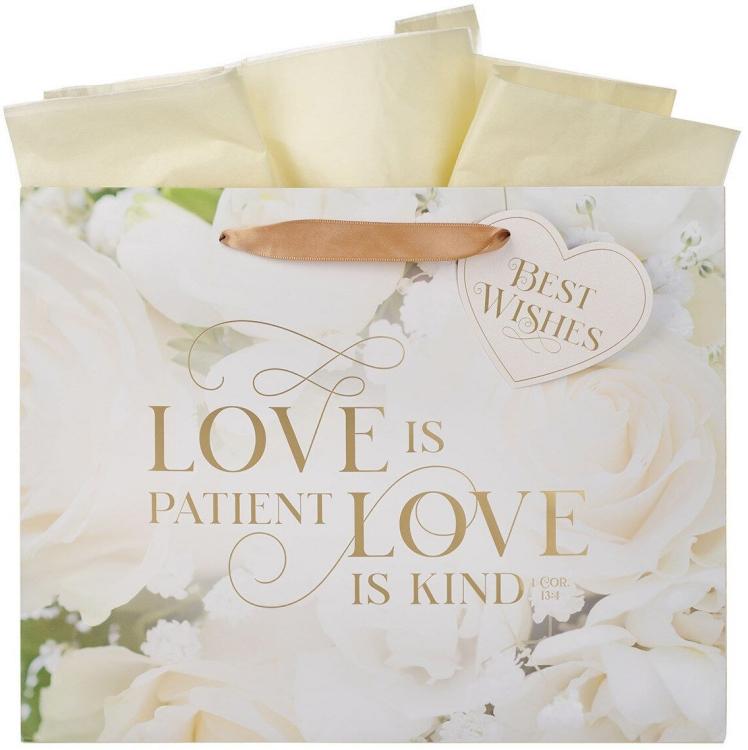 1220000325500 Large Landscape Inspirational Scripture Gift Bag