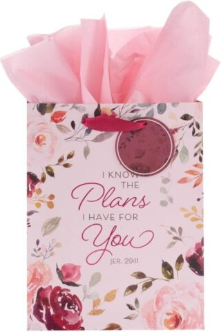 1220000138384 Gift Bag w/Tissue Paper Set: I Know the Plans Jeremiah 29:11 Bible Verse